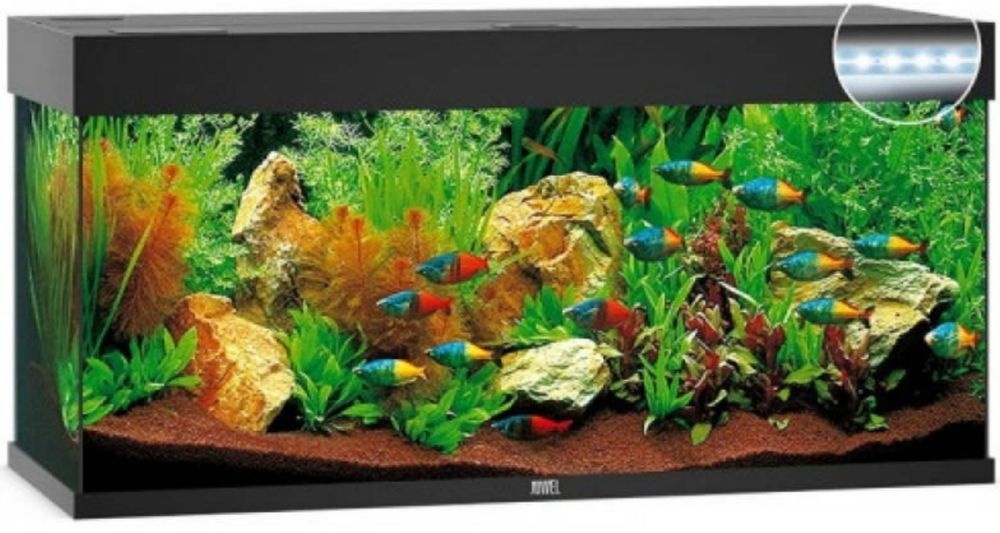 Акваріум Juwel Rio 180 (б/у)180л+тумба