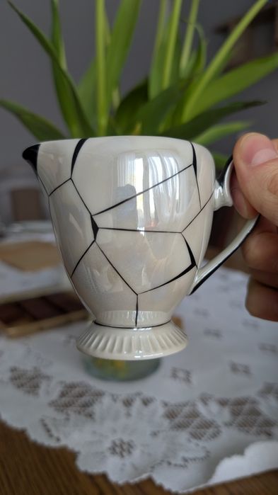 Mlecznik Regina z Chodzieży