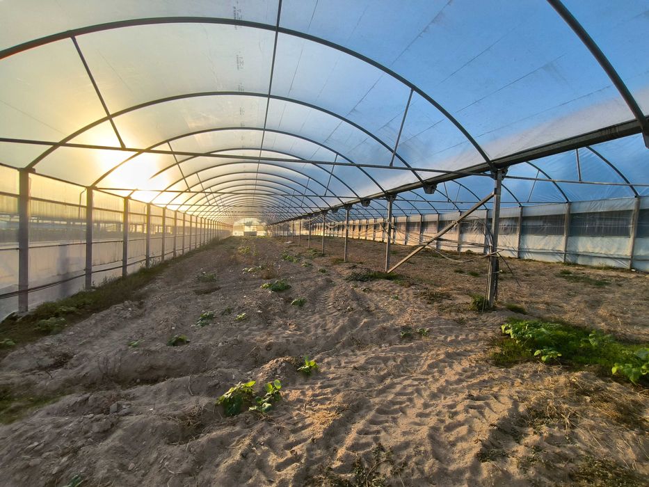 2 estufas agrícolas