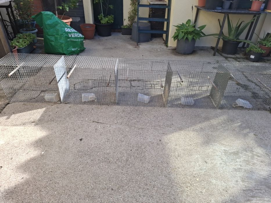 Vários viveiros e gaiolas