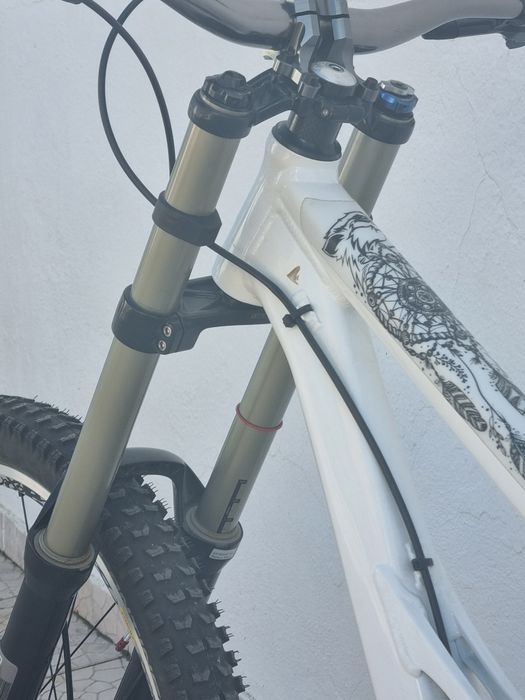 Bicicleta Transition Downhill