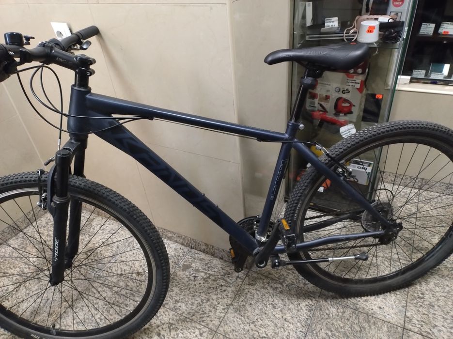 (4543/25)rower Kands Guardian