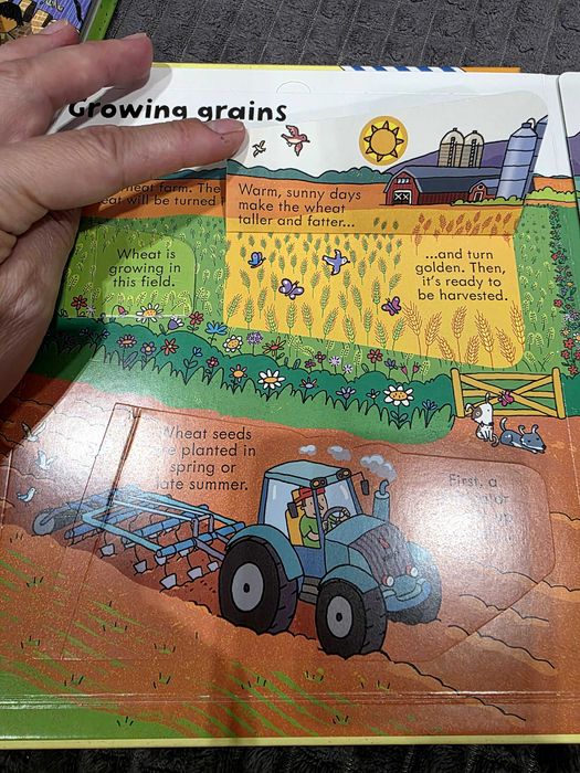 Book Usborn, look inside Food