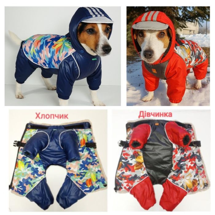 Продам комбинезоны для собак  и шапки