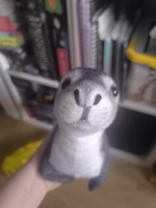 pluszak foka jak żywy