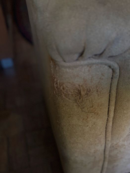 Cadeiroes de sala