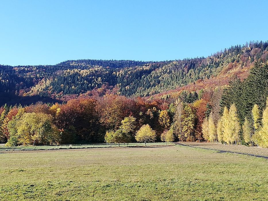 Pokoje Radków zalew