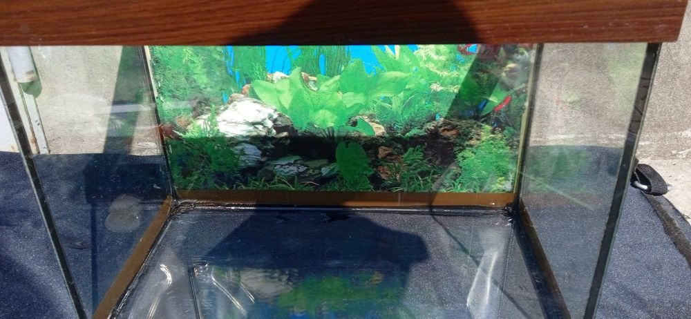 Продам аквариум   .