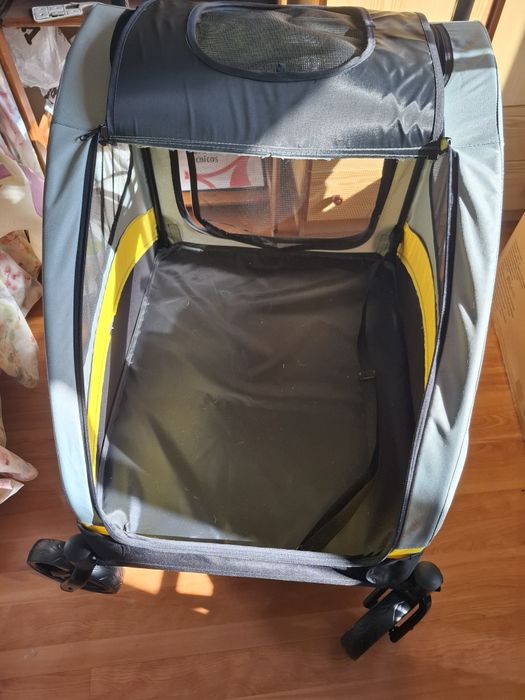 Carro passear animal estimação