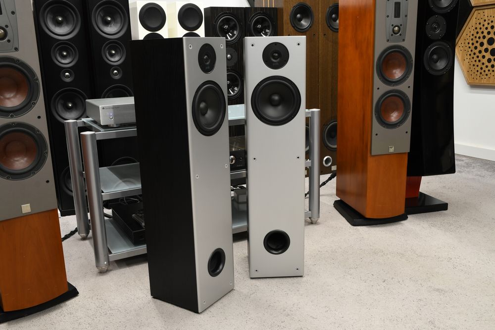 Polk Audio M20 Black - Kolumny podłogowe stereo Dynamic Balance
