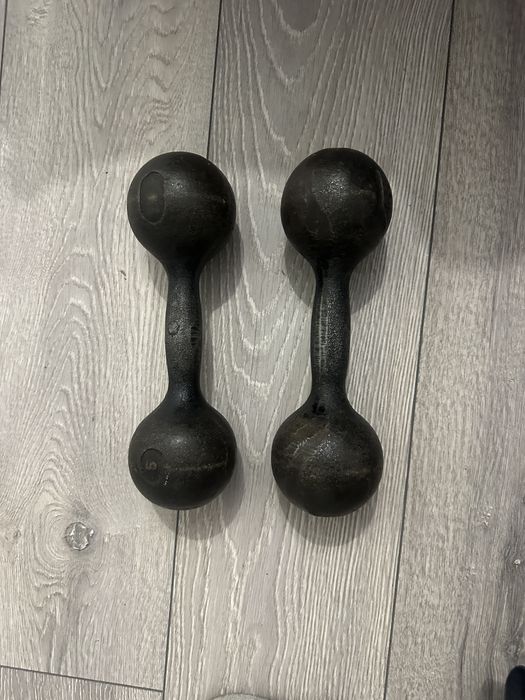 Гантелі  по 5 кг кожна