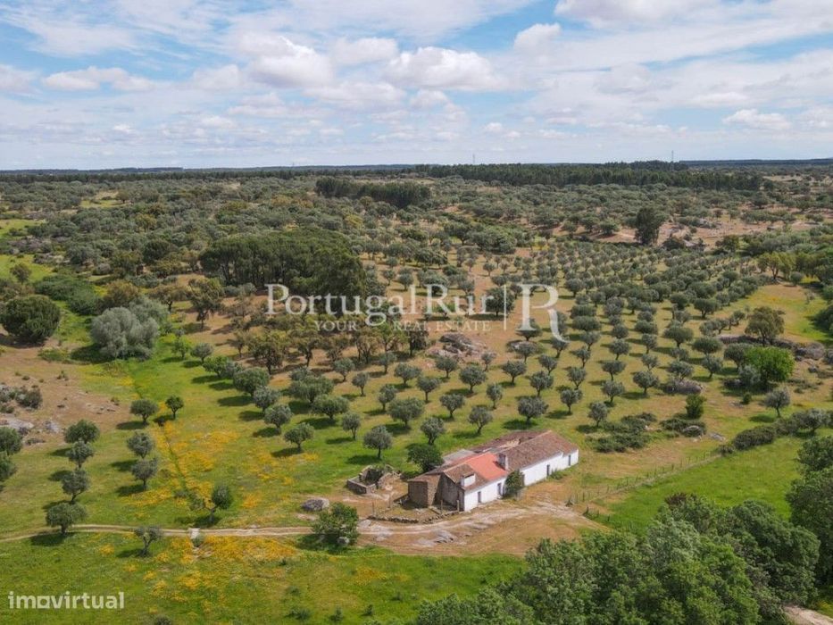 Herdade Ganadeira | Bovinos | Suínos | Caprinos com 186 Hectares no...