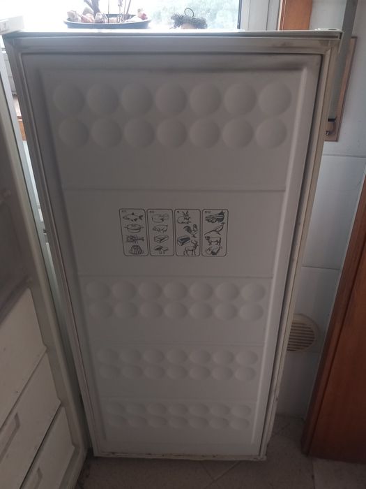 Arca Frigorífica