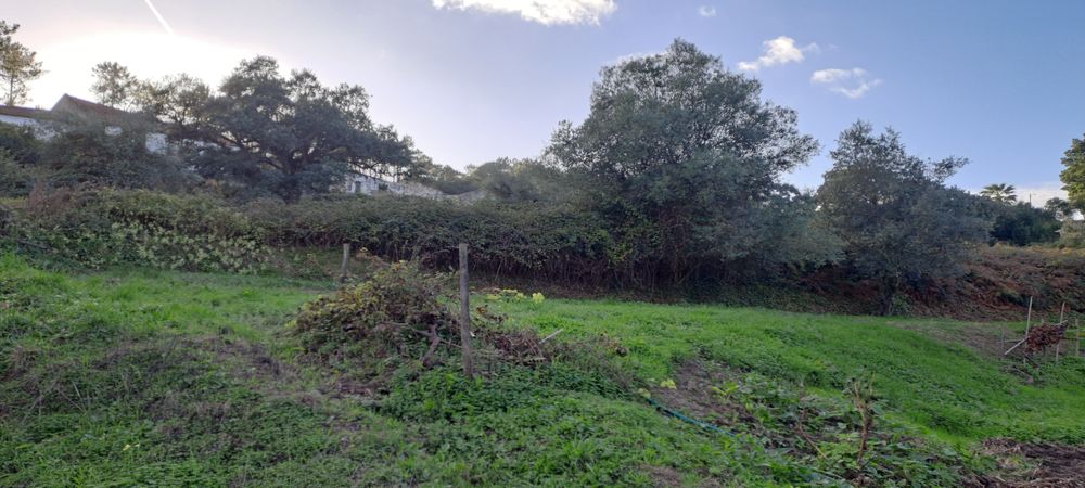 espectacular LOUSA LOURES 1.6 hectares a 15 min da capital Lisboa