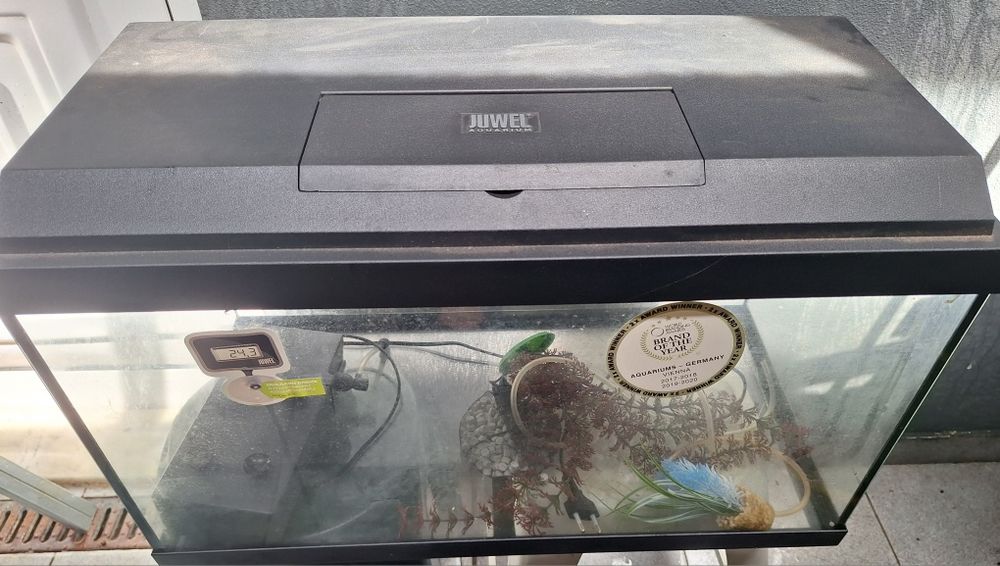 Aquário para peixes