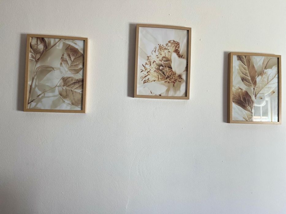 3 quadros 40x50 .  15€