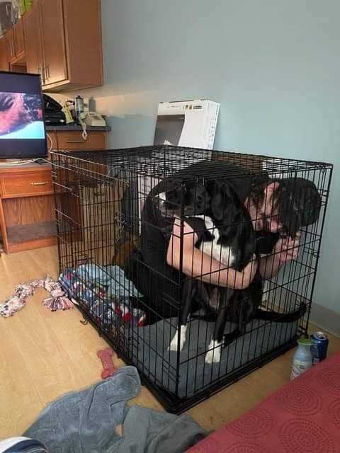 Клетка для собак Польша все размеры переноска манеж будка X/S - XXL