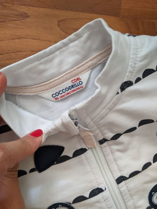 Bluza Coccodrillo