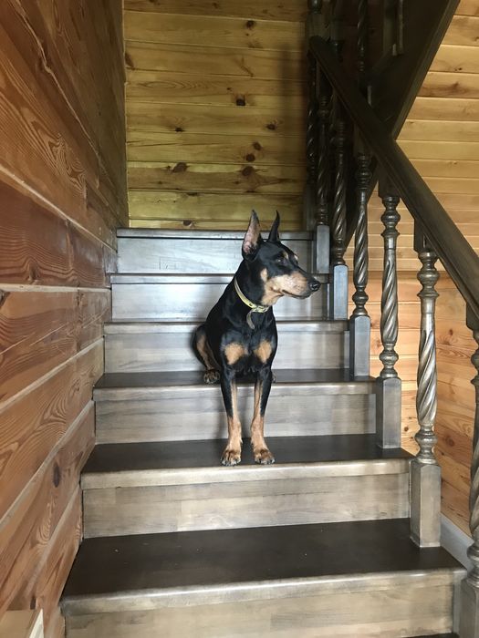 Дом по адресу ул. Магистратская (площадь 160 м²) - Atlanta.ua - фото 8