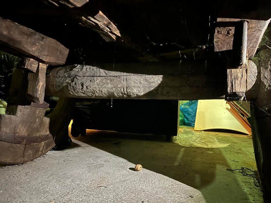 Carro de bois antigo