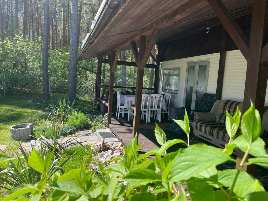 Domek z tarasem przy lesie sosnowym w Rowach 600 m do plaży