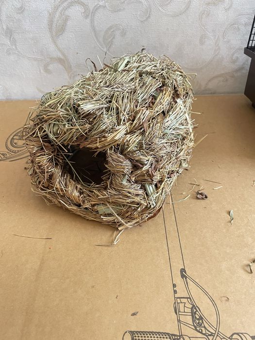 Продам клітки для щура / хом’яка + аксесуари