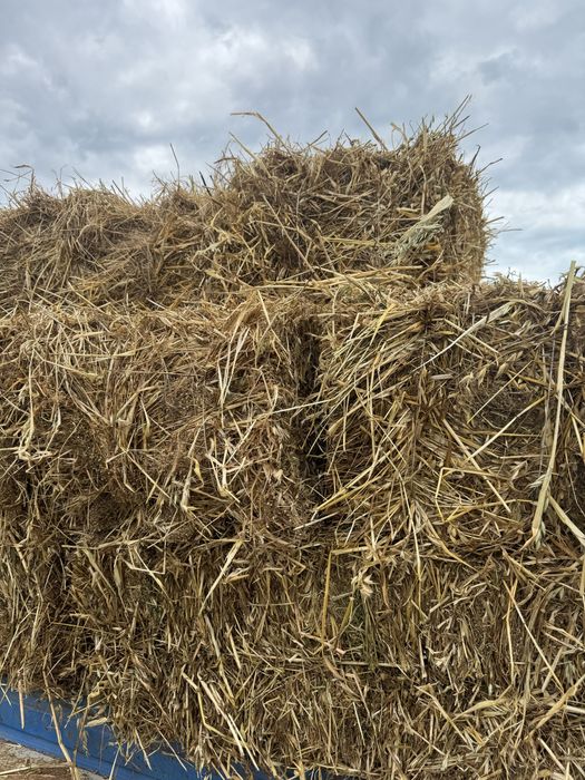 Продам  зерно суміш тюки