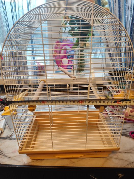Клітка для паруги