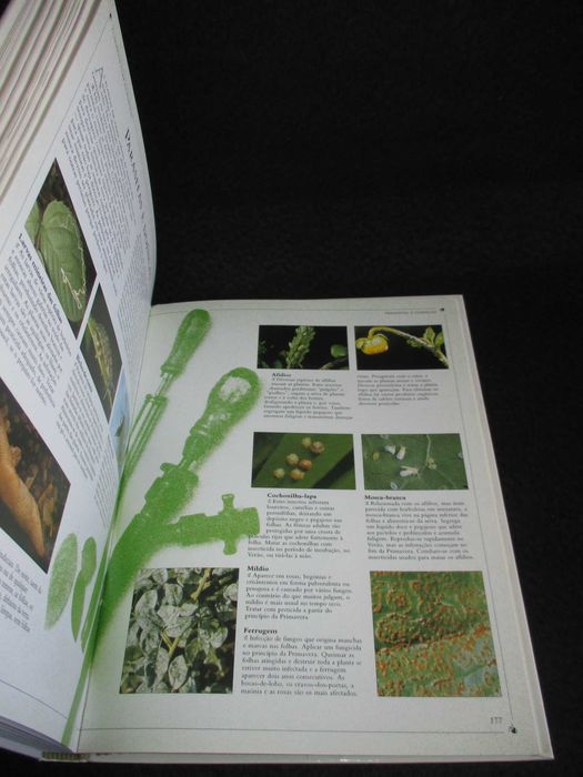 Livro O Jardim em Vasos Malcolm Hillier 1991