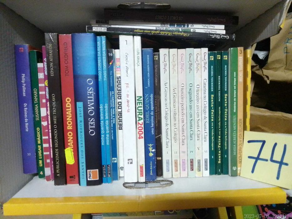 LOTE 74 + 75 - LIVROS Diversos - Vendidos EM SEPARADO - Preços Vários
