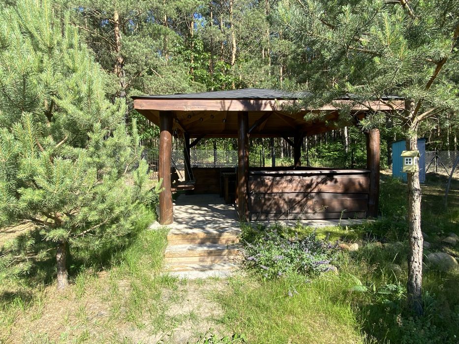 Działka budowlana 1106m² przy Lesie Państwowym | Blisko Jeziora Sumina | Prąd, Studnia, Domek, Altana - Widok 3