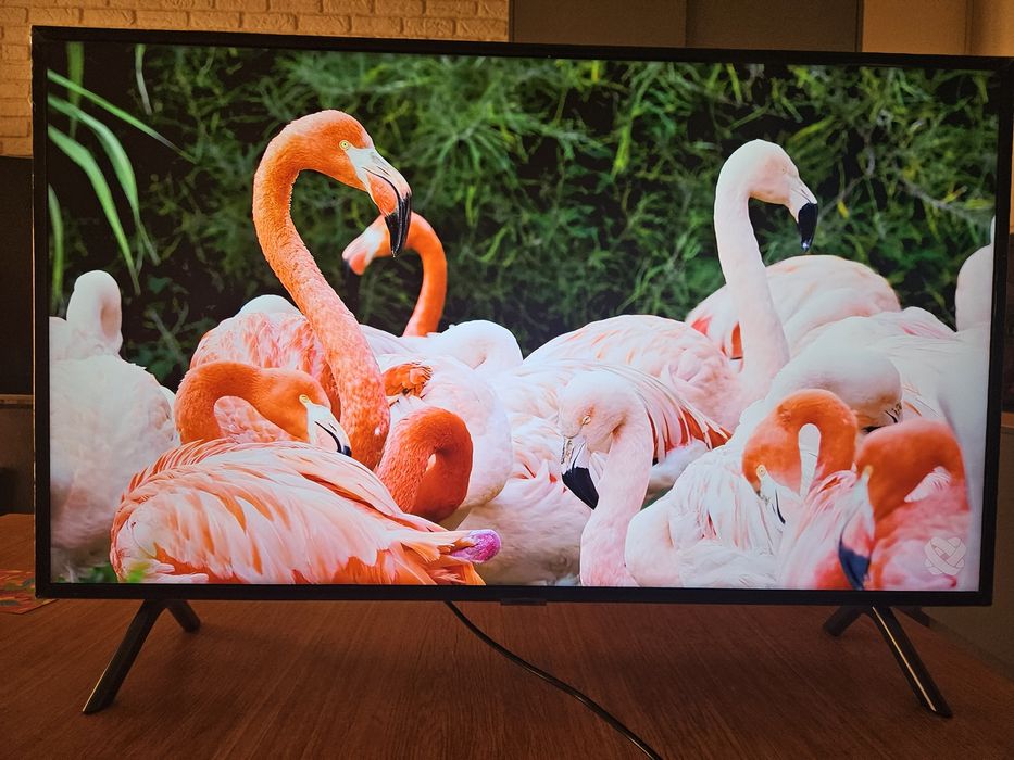 Samsung Smart tv Netflix Youtube 50  premium dowóz