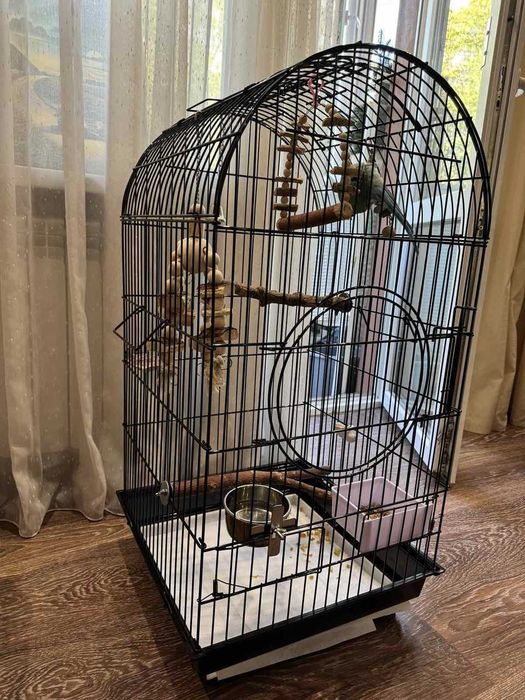 Большая  для средних попугаев,100х55х55 см, с открывающимся верхом