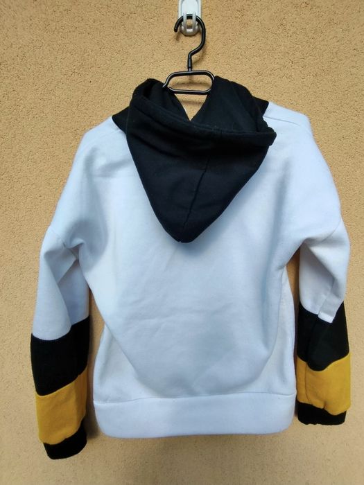 Bluza z kapturem Basic Kaktus