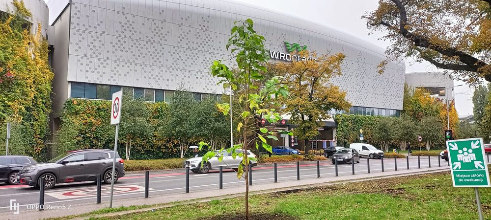 Nasadzenia drzew krzew " zastepcze " w ogrodzie Ogrodnik wycinka fvat