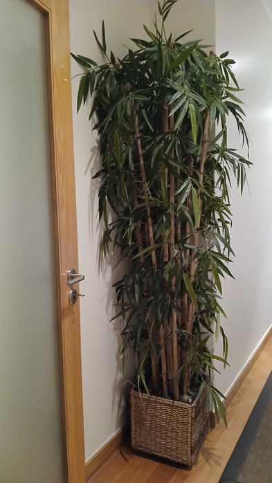 Planta artificial