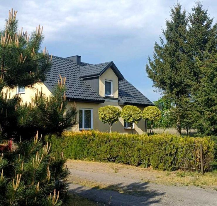 Dom Sędzin z dużą działką w otoczeniu zieleni