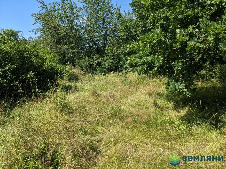 Продається земля 8,24сот в с.Павлівка, СТ Сантехник під забудову (5)