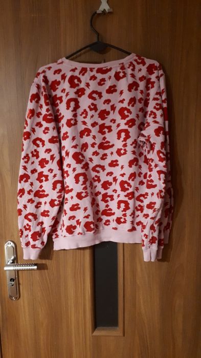 Super bluzka scamp &dude L