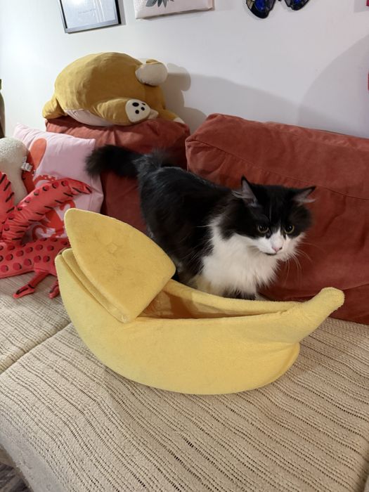 Лежанка банан для котиків