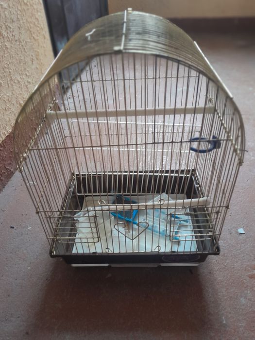 Продам клітку для папуги
