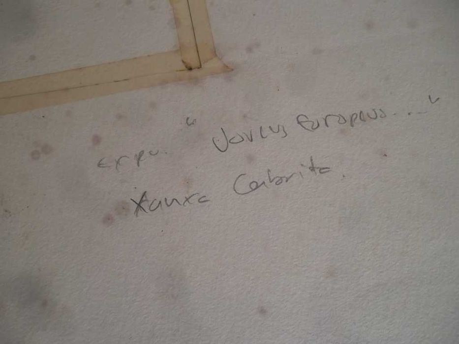 Prancha gigante original / ilustração de XANXA CABRITA