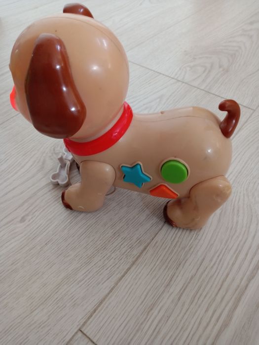 Interaktywny piesek dźwięk muzyka