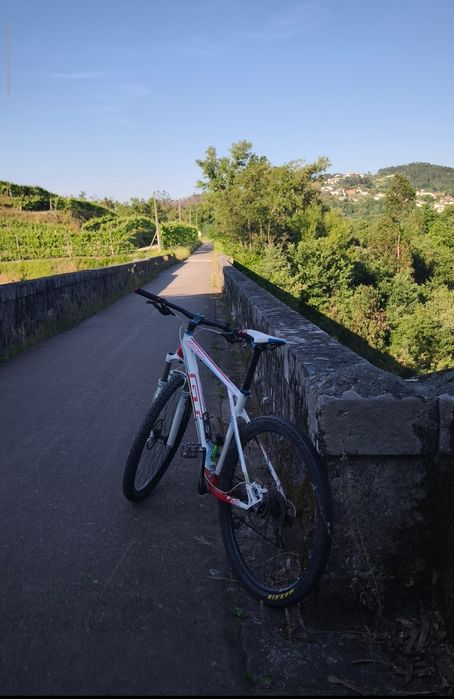 GT zaskar 29 - suspensão rockshox