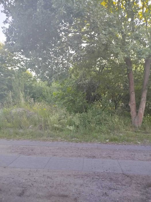 Działka na sprzedaż - Trzcianka - Więcej