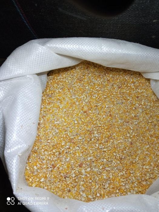 Kukurydzą  czerwona drobna  oraz kukurydzą grubo / drobno mielona