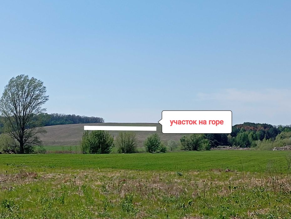 Продам участок в пригороде Гореничи