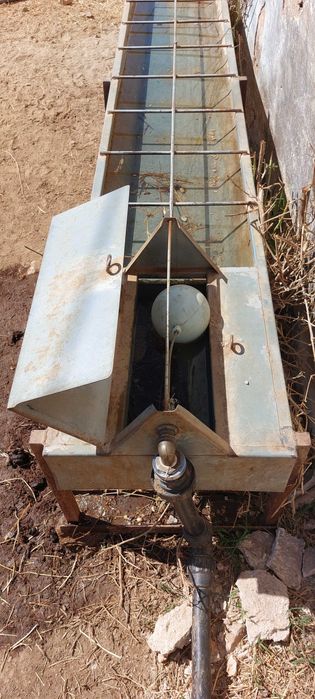 Bebedouro em chapa para gado