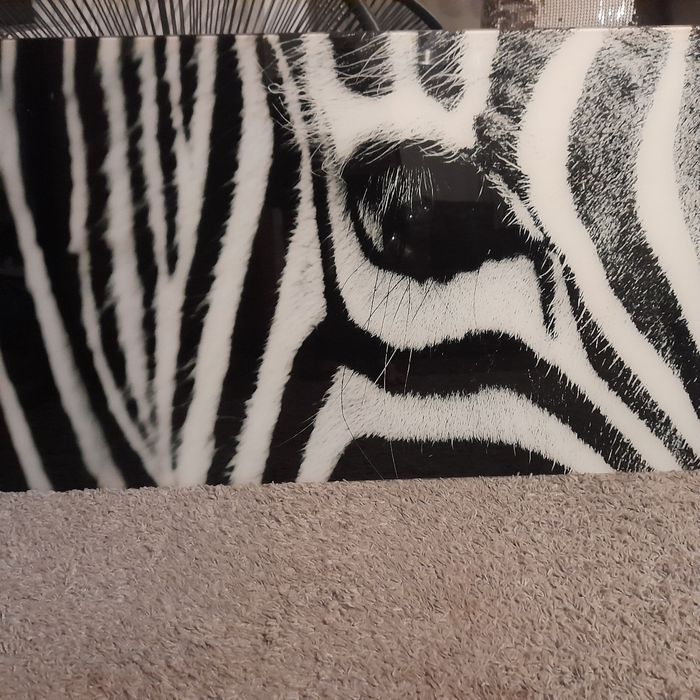 Quadro de vidro zebra preto e branco como novo da conforama