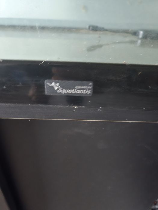 Aquario 200L com móvel